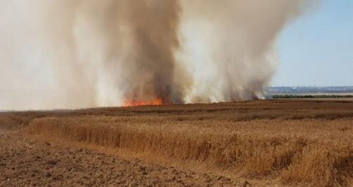 Bulletins CIREPAL : Gaza poursuit les marches du retour / Awda Hurub et Hassan Iwawi en grève de la faim depuis 54 jours / Deux gardiennes d’Al-Aqsa persécutées par l’occupant